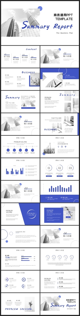 商务会议汇报项目介绍PPT