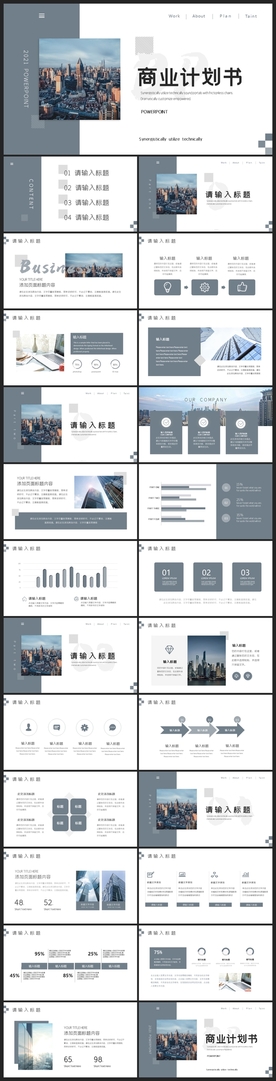 商务会议汇报项目介绍PPT