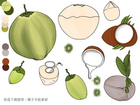 椰子手绘素材
