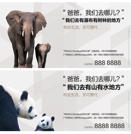 大象熊猫