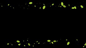 绿叶遮罩边框前景装饰视频带通道