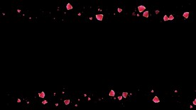 玫瑰花瓣遮罩边框前景装饰视频带