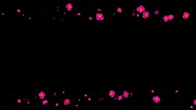 梅花遮罩边框前景装饰视频带通道