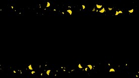 元宝遮罩边框前景装饰视频带通道