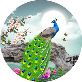 孔雀圆形装饰画