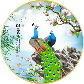 圆形孔雀图