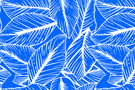 蓝底线条叶子