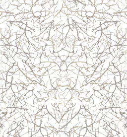 高清木纹木板素材图片