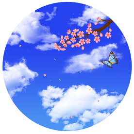 樱花蓝天白云