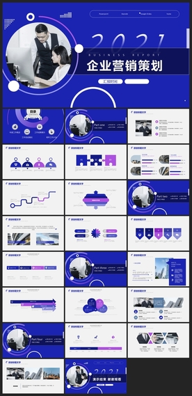 商务会议汇报项目介绍PPT