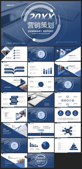 商务会议汇报项目介绍PPT