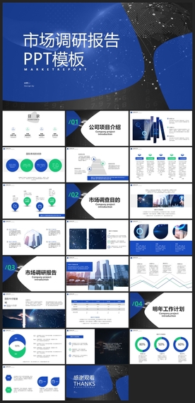 商务会议汇报项目介绍PPT