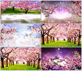 唯美桃花笑舞台舞美背景视频素材