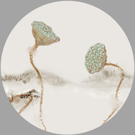 莲蓬 圆形装饰画