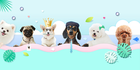 可爱宠物装饰画背景墙壁纸