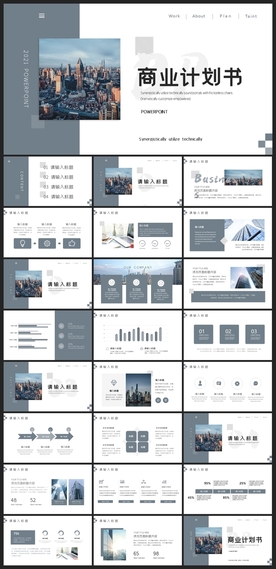 商务会议汇报项目介绍PPT