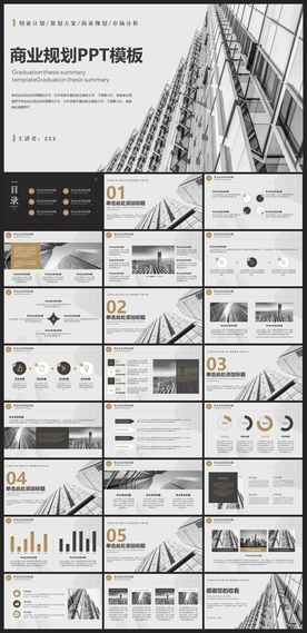 商务会议汇报项目介绍PPT