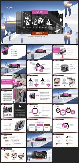 商务会议汇报项目介绍PPT