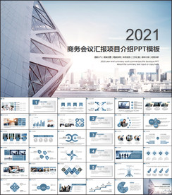 商务会议汇报项目介绍PPT