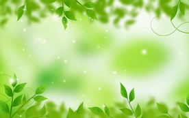 植物树叶背景