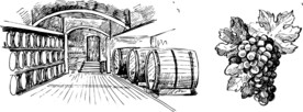 酒窖 葡萄 手绘 黑白 图案