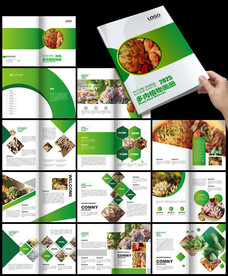 多肉植物画册盆景绿植家居画册