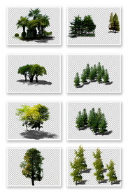 PS园林植物素材