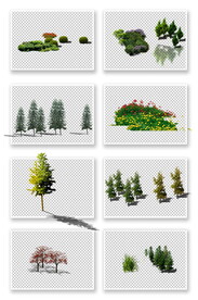 PS园林植物素材