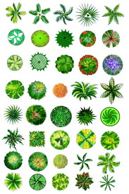 PS平面植物素材