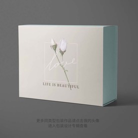 精美礼品包装设计