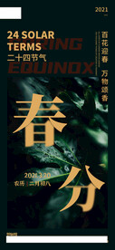 春分 节气海报