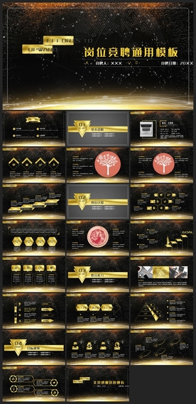 商务会议汇报项目介绍PPT