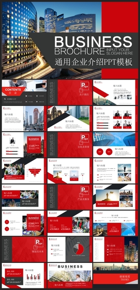 商务会议汇报项目介绍PPT