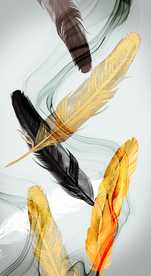 羽毛装饰画玄关