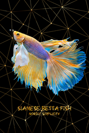 彩色鲤鱼装饰画