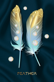 羽毛珍珠装饰画