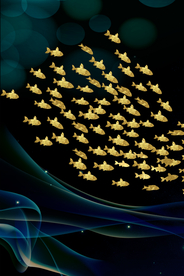 梦幻金色鱼群玄关