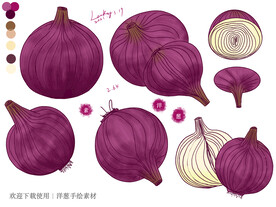 洋葱手绘素材