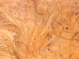 贴图 地板 素材 材质  实木