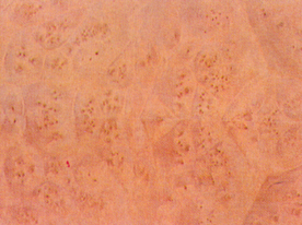 贴图 地板 素材 材质  实木