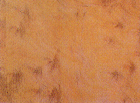 贴图 地板 素材 材质  实木