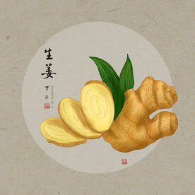 手绘生姜