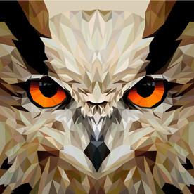 猫头鹰插画设计