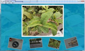 相册点击放大效果cs6