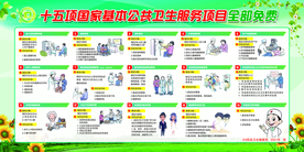 国家基本公共卫生服用项目