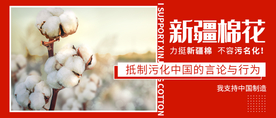 支持中国造力挺新疆棉公众号首图