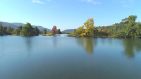 短视频素材湖面上的红树林