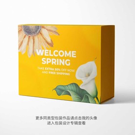 精品礼盒包装设计平面图