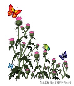花朵 蝴蝶