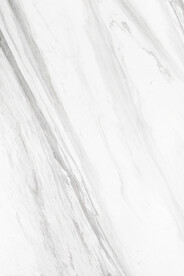 爵士白 鱼肚白高清大理石瓷砖